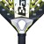 150161-Counter_Viper-100-4-Close_Up_Heart.jpg