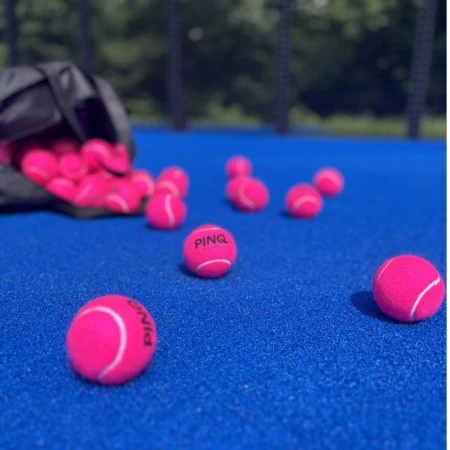 PinqPadel (1).jpg